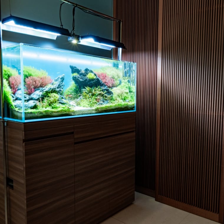 水槽レイアウト