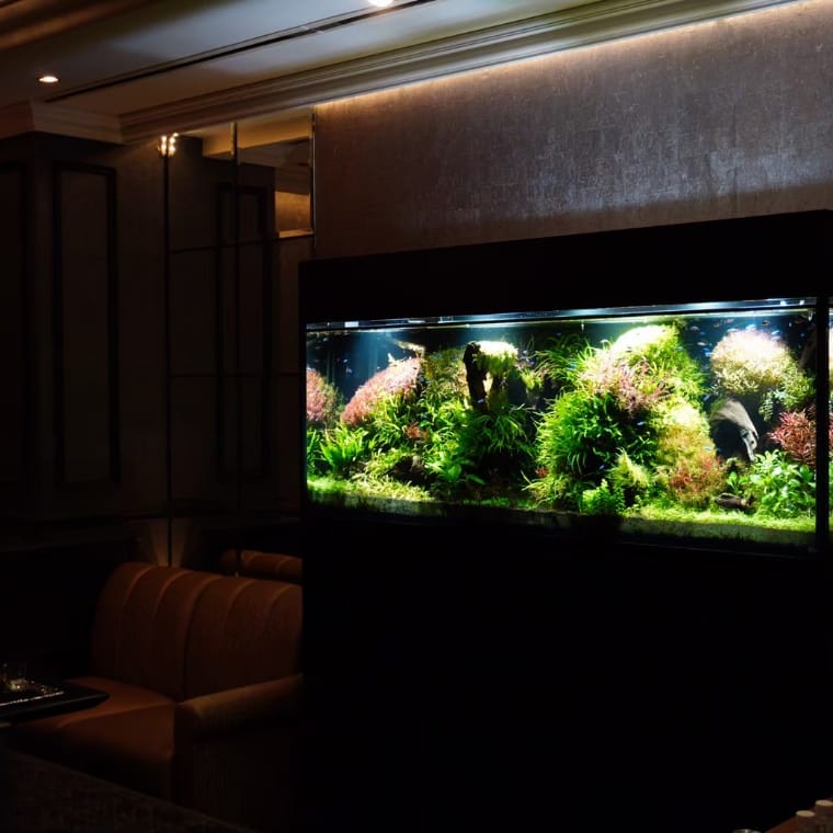 出張メンテナンス